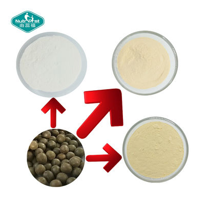 China Sweetener Mogrosides 80% Monk Fruit Extract Powder in Milk White Powder of Herbal Extract/Plant Extract supplier