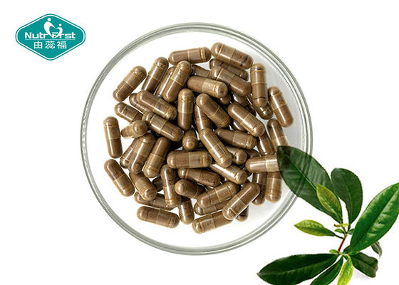 China Gymnema Sylvestre Capsules for Maintain Healthy Blood Sugar Levels supplier
