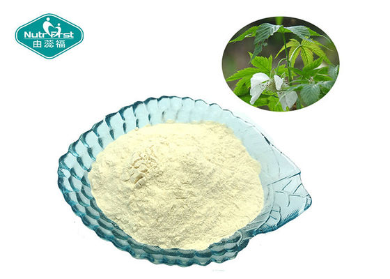 China Sweet Tea Extract 70% Rubusoside 100% Natural Sweetener with Low Calorie supplier