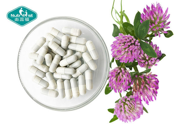 China Red Clover Extract ( Trifolium Pratense ) Capsules for Menopause Support supplier