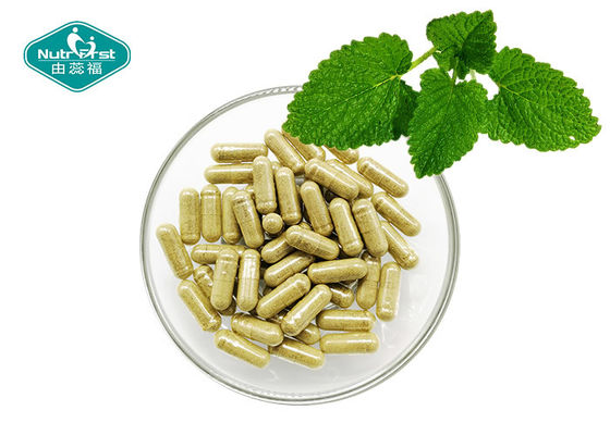 China Lemon Balm Melissa Officinalis Leaves Extract Capsules Natural Relaxation &amp; Stress Management supplier