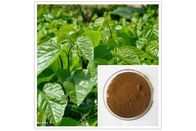 100% Natural Mulberry Leaf Extract with 1- Deoxynojirimycin ( 1% DNJ ) Reduces Blood Sugar