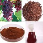 OPC Proanthocyanidin Procyanidin 95 Grape Seed Extract for Anti-aging and AntiOxidant