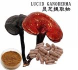 Reishi (broken shell) Spore Powder,Ganoderma,Lingzhi, Ganoderma Lucidm,Herbal Extract/Plant Extract