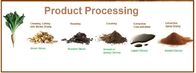 Inulin,Chicory Root Extract,White Powder,Herbal Extract/Plant Extract