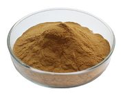 Hops Extract,Humulus Lupulus L. Extract,Light Yellow-Brown Powder,Herbal Extract/Plant Extract