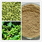 Green Coffee Bean Extract,Light Yellow Brown Powder,Herbal Extract and Plant Extract