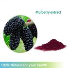 Mulberry Fruit Extract,Dark Purple Powder,Herbal Extract/Plant Extract