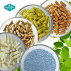 OEM Anti-fatigue Vitamin B Sustained Release Capsule of Health Food for Contract Manufacturing