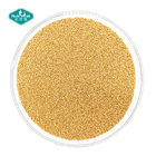 Immune & Anti-fatigue Vitamin C Timed Release Micropellets Capsules for Skin Whitening