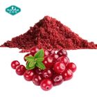 100% Natural Freeze Dried Cranberry Powder Cranberry Juice Powder Extract 25% for Skin