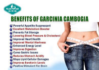 Weight Loss Powdered Herbal Extracts Garcina Cambogia Improves Metabolism With HCA 60%