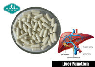 Liver Protection and Nervous System Health Amino Acid Taurine 500mg Capsule