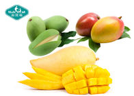 Mango Fruit Powder,Mangifera indica L.Orange Powder,Fruit & Vegetable Powder