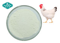Chondroitin Sulfate ex Bovine , Porcine and Chicken USP40 for Joint Health