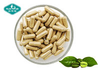 Green Safe Effective Weight Loss Pills Coffee Bean Extract Capsules with Chlorogenic Acid
