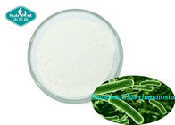 Healthy Gut and Immune System Probiotic Strain Lactobacillus Rhamnosus 400 Billion CFU/g Powder