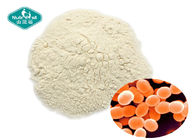 Pure Boost Immunity Probiotic Strain Powder Lactococcus lactis 200B CFU/g