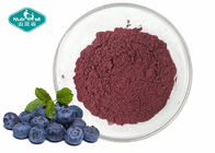 Blueberry Powder Fruit and Vegetable Powders for Antioxidant