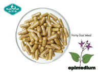 Epimedium Horny Goat Weed Extract 500mg Capsules for Energy and Vitality