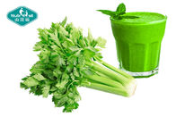 Anti - Inflammatory Dried Celery Powder / Super Green Powder For Weight Loss