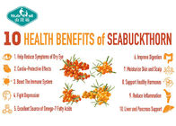 High Purity Sea Buckthorn Fruit Powder Blends Seamlessly With Drinks And Foods