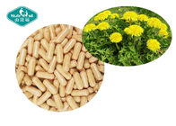 Dandelion Root Extract Capsules Supports the Liver and Gallbladder