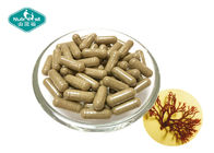 Private Label Irish Sea Moss Blend Capsule for Immune and Thyroid Health
