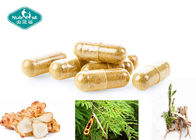 Natural Probiotic Blend Supplement Jerusalem Artichoke Root Acacia Senegal Chicory Root Capsules For Digestion Health