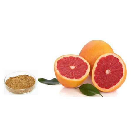 Grapefruit Extract,Citrus paradisi Macf.Brown Powder,Herbal Extract/Plant Extract