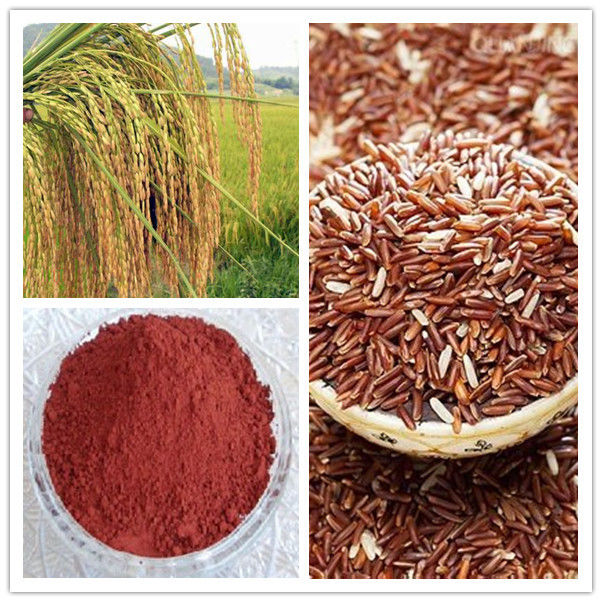 Red Yeast Rice Extract,Red Powder,Herbal Extract and Plant Extract