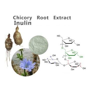 Inulin,Chicory Root Extract,White Powder,Herbal Extract/Plant Extract