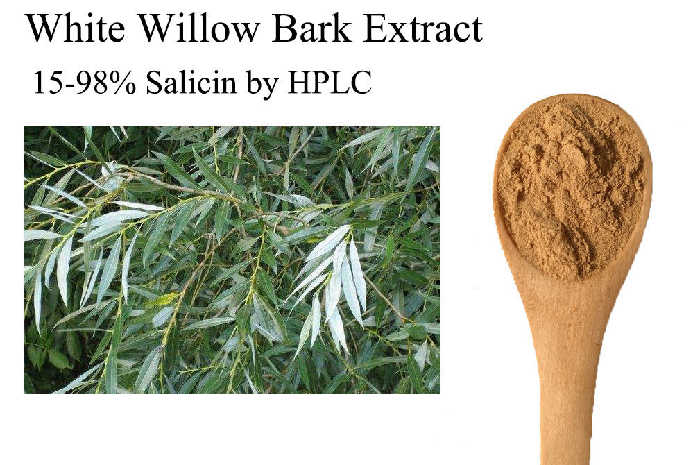 White Willow Bark Extract.Brown Powder,Herbal Extract/Plant Extract
