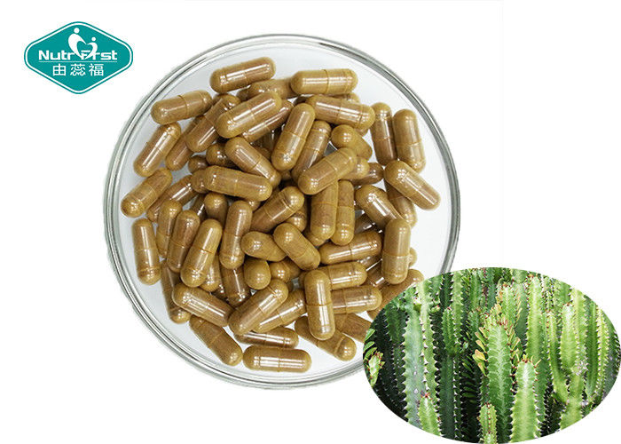 Natural Appetite Suppressant Energy Hoodia Cactus Capsules 500mg For Weight Loss