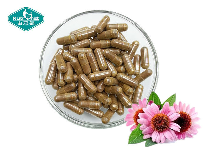 Echinacea Purpurea 400mg Capsules Helps Fight Colds & Upper Respiratory Tract Infections