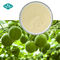 Sweetener Mogrosides 80% Monk Fruit Extract Powder in Milk White Powder of Herbal Extract/Plant Extract supplier