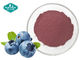 Blueberry Powder Fruit and Vegetable Powders for Antioxidant supplier