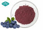 Blueberry Powder Fruit and Vegetable Powders for Antioxidant supplier