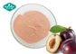 Plum Fruit And Vegetable Powder Light Red Brown Safety Good Taste For Soft Beverage supplier