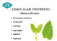Lemon Balm Melissa Officinalis Leaves Extract Capsules Natural Relaxation &amp; Stress Management supplier