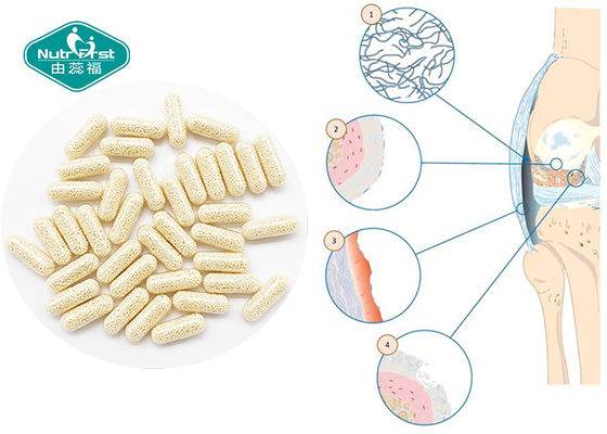 China Glucosamine Chondroitin Vitamin C  Sustained Release Pellets Capsules for Joint Health supplier