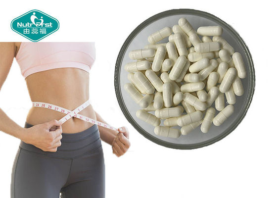 China 100% Natural Weight Loss Bitter Melon Extract 500 mg Capsule for Lowering Blood Sugar and Slimming Body supplier