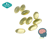 Nutrifirst Promote Brain Supplements EPA DHA Bulk 500mg 1000mg Omega 3 Algae Oil Vegan Capsules Softgels