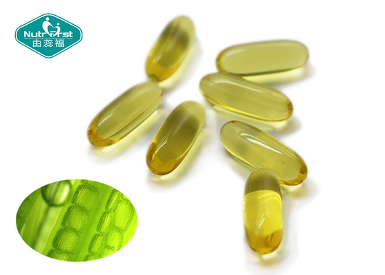 Nutrifirst Promote Brain Supplements EPA DHA Bulk 500mg 1000mg Omega 3 Algae Oil Vegan Capsules Softgels