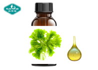 Nutrifirst Kids Intelligence Supplements Organic Plant Omega 3 DHA EPA Algae Oil Oral Liquid Supplier 30ml Drops