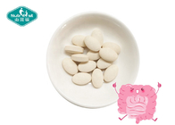Healthcare Supplement Premix Probiotic Bulk Probiotics Nutrients Premix Blends Powder