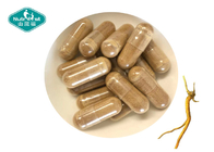 Nutrifirst Immune Booster Astragalus Root Extract Powder 10:1 Supplements Astragalus Capsule