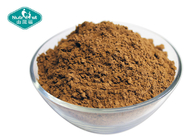 6 Mushroom Lions Mane Reishi Cordyceps Chaga Turkey Tail Maitake Extract Greens Blend Superfood Immune Powder