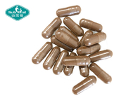Customization Mushroom Herbal Supplement Chaga Mushroom Extract Powder Capsules Supplier
