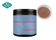 Organic Herbal Nootropic Supplement Mushroom Extract Powder Chaga Cordyceps Lion's Mane Maitake Reishi Blend Powder